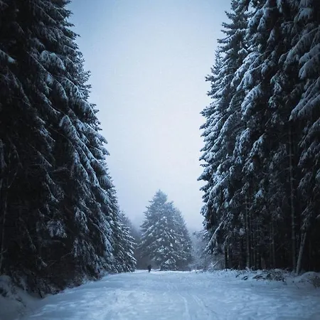 Σπίτι διακοπών La Grande Francorchamps Ardennaise