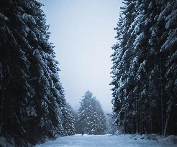 Vakantiehuis La Grande Francorchamps Ardennaise